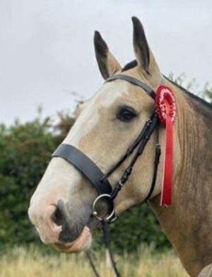 received_1276944043907620~2.jpeg received_1276944043907620~2.jpeg