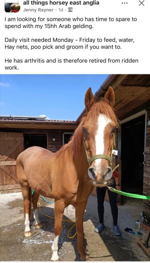 IMG_7989.jpeg IMG_7989.jpeg