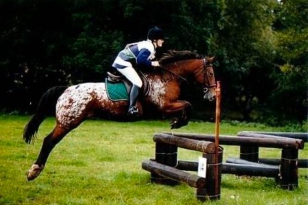 IMG_9660.jpeg IMG_9660.jpeg