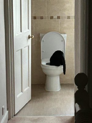 IMG_1279.jpeg IMG_1279.jpeg