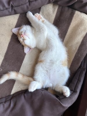 IMG_2391.jpeg IMG_2391.jpeg