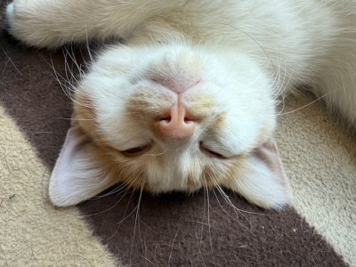 IMG_2392.jpeg IMG_2392.jpeg