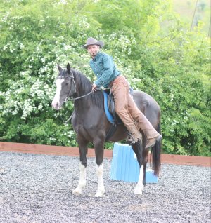 58e318cc-45f1-4486-86a1-68630ed17263.jpeg 58e318cc-45f1-4486-86a1-68630ed17263.jpeg