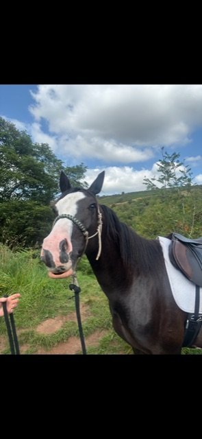 EF839437-CC5D-4E65-BD63-3F61166CA8EC.jpeg EF839437-CC5D-4E65-BD63-3F61166CA8EC.jpeg