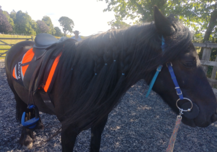 Screenshot_20250815-170738-537.png Screenshot_20250815-170738-537.png