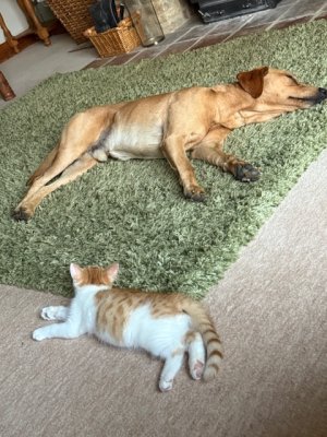 IMG_2444.jpeg IMG_2444.jpeg