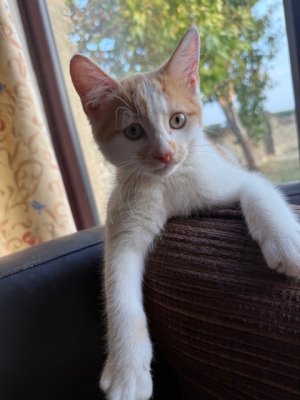 IMG_2442.jpeg IMG_2442.jpeg