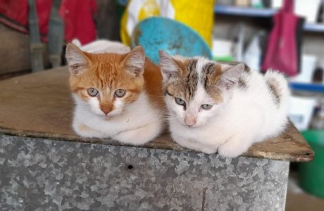 0c6bd170-e8bd-4680-9f0b-b7f8d54a6b44.jpeg 0c6bd170-e8bd-4680-9f0b-b7f8d54a6b44.jpeg