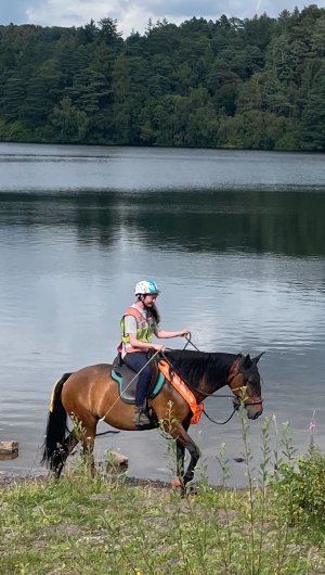 c9400c88-1a8f-48de-bb52-f1cff7c211fa.JPG c9400c88-1a8f-48de-bb52-f1cff7c211fa.JPG