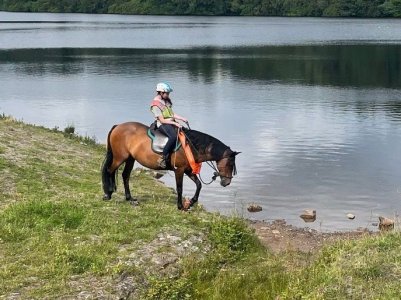 0a0b7f28-ec6e-459f-a222-22a1272ebf0e.jpg 0a0b7f28-ec6e-459f-a222-22a1272ebf0e.jpg