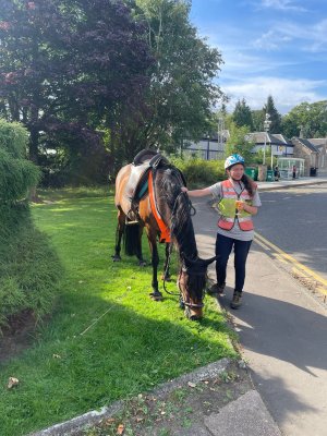 717fd71c-5478-4028-b62c-00d47e99075d.JPG 717fd71c-5478-4028-b62c-00d47e99075d.JPG