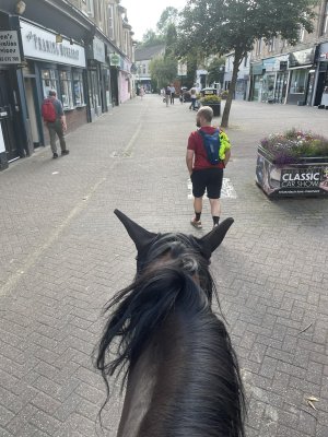 534865909_10101491359844815_1598159393879608898_n.jpg 534865909_10101491359844815_1598159393879608898_n.jpg