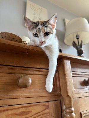 IMG_2457.jpeg IMG_2457.jpeg