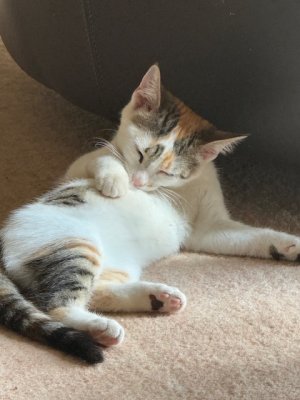 IMG_2497.jpeg IMG_2497.jpeg