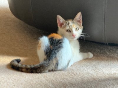 IMG_2494.jpeg IMG_2494.jpeg