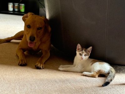 IMG_2492.jpeg IMG_2492.jpeg