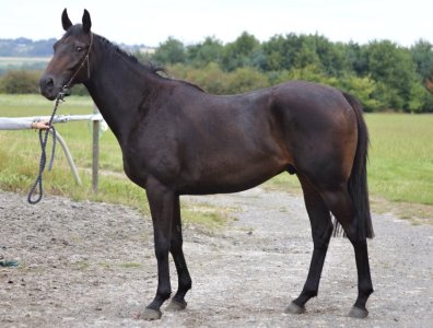 IMG_6369.jpeg IMG_6369.jpeg