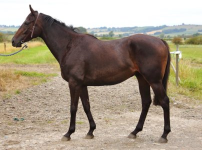 IMG_6373.jpeg IMG_6373.jpeg