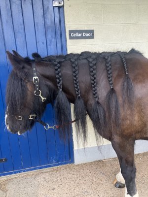 IMG_0664.jpeg IMG_0664.jpeg