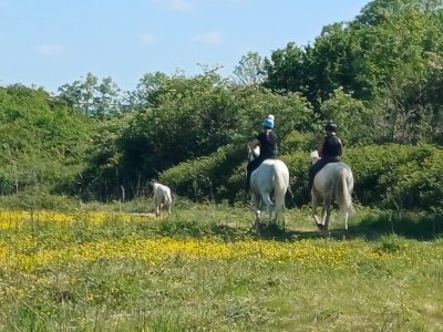 1000030192.jpg 1000030192.jpg