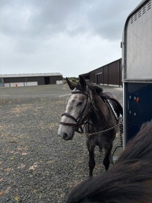 05c39a21-4925-4ef3-aad5-c97e489eb251.jpeg 05c39a21-4925-4ef3-aad5-c97e489eb251.jpeg