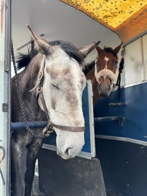 81bd2fef-f8c6-4dbc-8409-7d7fd1eebab0.jpeg 81bd2fef-f8c6-4dbc-8409-7d7fd1eebab0.jpeg