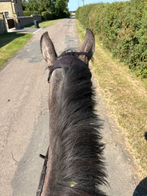 9039fd40-a39d-4c48-8602-9e5954ce8796.jpeg 9039fd40-a39d-4c48-8602-9e5954ce8796.jpeg