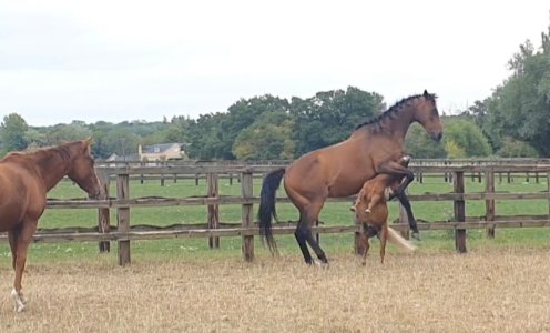 Screenshot_20250817_162854_Gallery.jpg Screenshot_20250817_162854_Gallery.jpg