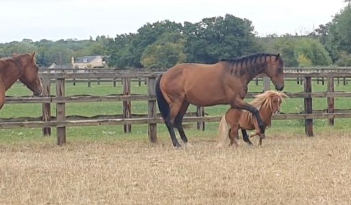 Screenshot_20250817_163013_Gallery.jpg Screenshot_20250817_163013_Gallery.jpg