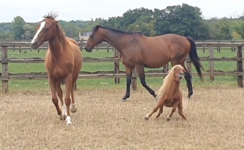 Screenshot_20250817_163236_Gallery.jpg Screenshot_20250817_163236_Gallery.jpg