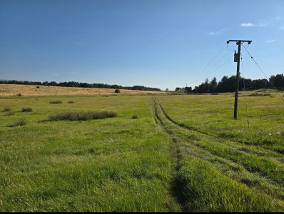 Screenshot_20250817_180513_Photos.jpg Screenshot_20250817_180513_Photos.jpg