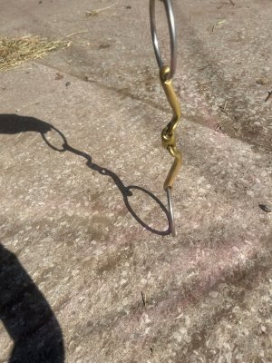 WhatsApp Image 2025-08-17 at 19.17.51.jpeg