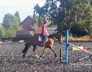 1000023782_1755457425119.png 1000023782_1755457425119.png