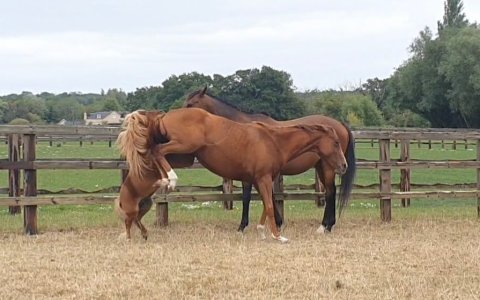 Screenshot_20250817_203040_Gallery.jpg Screenshot_20250817_203040_Gallery.jpg