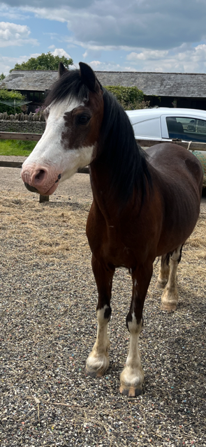 IMG_4302.png IMG_4302.png