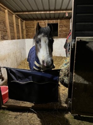 IMG_3388.jpeg IMG_3388.jpeg