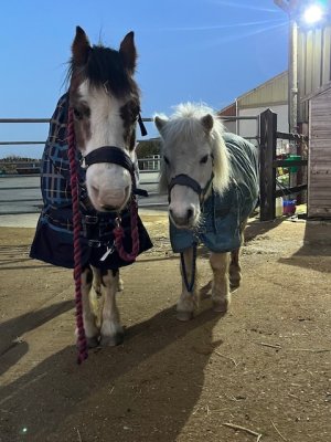 IMG_3266.jpeg IMG_3266.jpeg