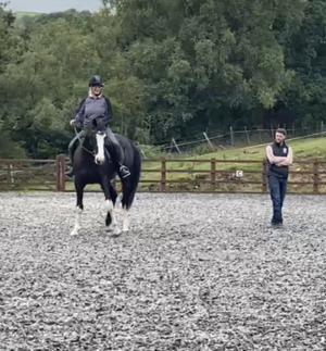 IMG_3366.PNG IMG_3366.PNG