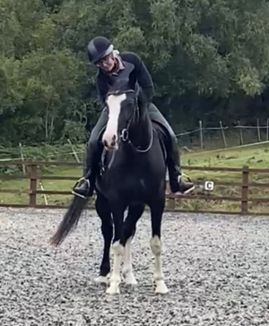 IMG_3368.PNG IMG_3368.PNG