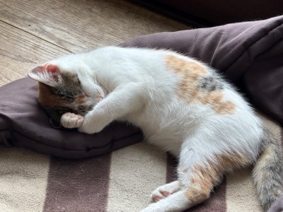 IMG_2573.jpeg IMG_2573.jpeg