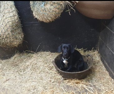 Screenshot_20250820_125938_Gallery.jpg Screenshot_20250820_125938_Gallery.jpg