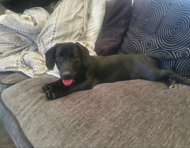 Screenshot_20250820_130146_Gallery.jpg Screenshot_20250820_130146_Gallery.jpg