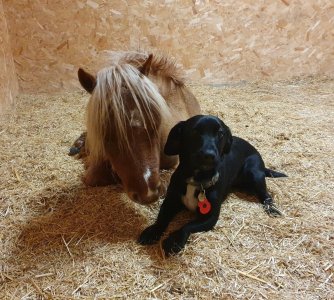 Screenshot_20231114_210458_Gallery.jpg Screenshot_20231114_210458_Gallery.jpg