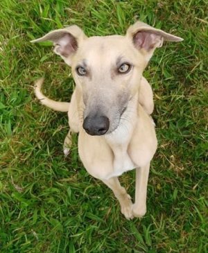 IMG_1334.jpeg IMG_1334.jpeg