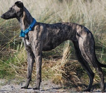 IMG_3211.jpeg IMG_3211.jpeg