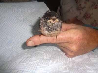 1755694808572.jpeg 1755694808572.jpeg