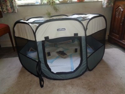 1755700421084.jpeg 1755700421084.jpeg