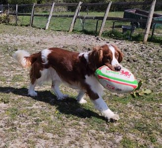 489821599_10164387458585730_860392284214925510_n.jpg 489821599_10164387458585730_860392284214925510_n.jpg