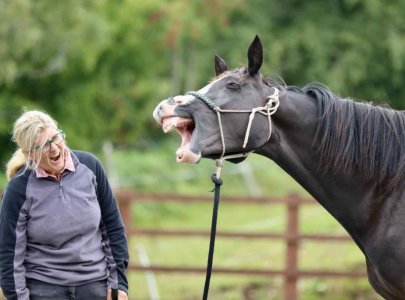 myka yawning.jpg myka yawning.jpg