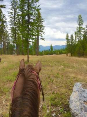 508010365_3267000596772278_6029635237396288804_n.jpg 508010365_3267000596772278_6029635237396288804_n.jpg